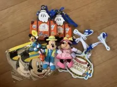 東京ディズニーリゾート バケーションパッケージグッズセット