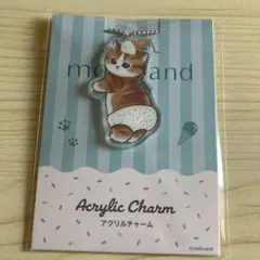 mofusandアクリルチャーム