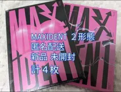 Stray Kids Maxident 未開封 ２形態(計４枚)