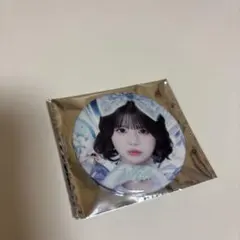 MEGALiFE! 缶バッジ あいす