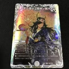 聖域の大母フィオナ シークレット - メルカリ