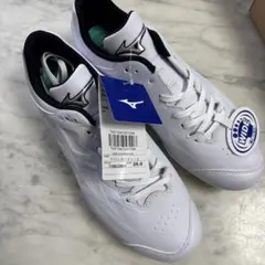 MIZUNO 安全靴 ホワイト ゴールド 早い者勝ち - メルカリ