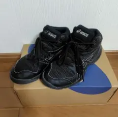 ASICS　DUNK SHOT　ダンクショット バッシュ　21cm