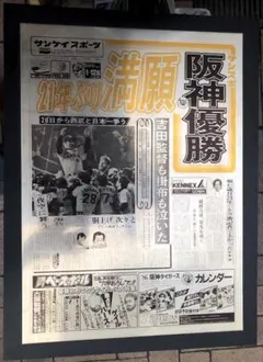 阪神タイガース優勝盾1985年のサムネイル