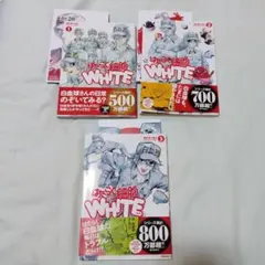 Item thumbnail for item bcdb71a8-8d55-4d4a-aade-7d4e606d72a6