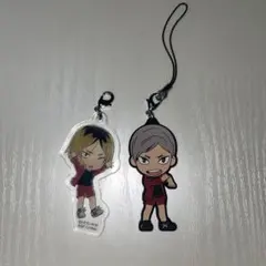 ハイキュー　音駒高校　狐爪研磨、灰羽リエーフ