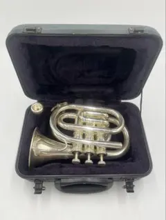 2025年最新】j.michael ポケットトランペットの人気アイテム