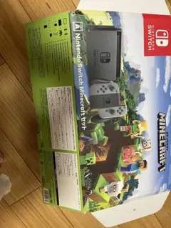 Nintendo Switch本体セット