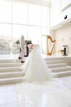 3mウェディングドレス用ヴェール