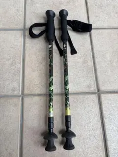 Item thumbnail for item 54a3f92f-0b4e-480b-ad12-f09b558a0244