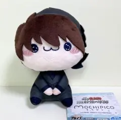 忍たま乱太郎 ドクタケ忍者隊最強の軍師 もちぴこ ぬいぐるみ 土井半助