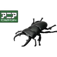 【レア】アニア アニマルアドベンチャー ヒラタクワガタのサムネイル