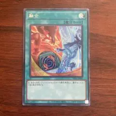 遊戯王OCG 融合 魔法カード　シク　シークレット