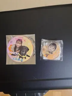 読売ジャイアンツ VENUS ヴィーナスガチャ　山田かのんセット