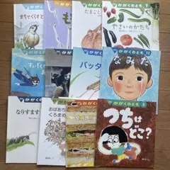 かがくのとも 12冊セット 2018年度