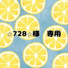 ⭐︎728⭐︎様　専用