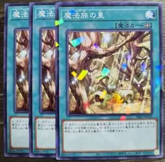 【汎用　妨害　環境メタ】魔法族の里　3枚セット【パラレル1枚、ノーマル2枚】