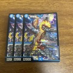 飛翔龍 5000VT 3枚セット - メルカリ