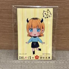 ともちんなう@家庭内激多忙中/プロフ必読様 リクエスト 2点 まとめ商品