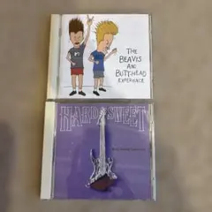 THE BEAVIS AND BUTTHEAD EXPERIENCE