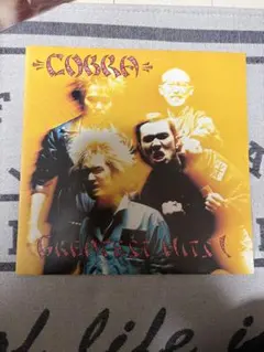 2026年最新】Cobra OIの人気アイテム - メルカリ