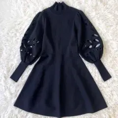 未使用級✨ZARA カットワークスリーブ フレアワンピース ハイネック ドレスS