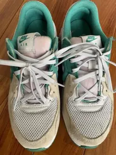 Nike Air Max スニーカー グリーン/ベージュ