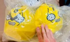 一番くじ ジョジョ G賞 G g もちもちもっち S・P ぬいぐるみ 6、7