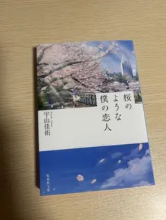 桜のような僕の恋人