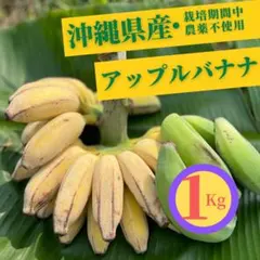 アップルバナナ【1キロ、沖縄産】のサムネイル