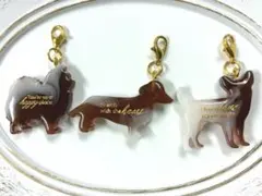 犬　チャーム　ポメ　ダックス　チワワ