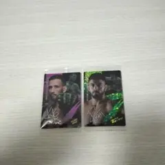 RIZIN ウエハース25" クレベル選手・サトシ選手+15選手+榊原CEO