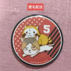 ケンマネコ　缶バッジ　ハイキュー!! TO THE TOP×ラスカル　孤爪研磨