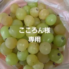 こころん様専用