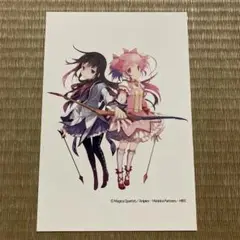 魔法少女まどか☆マギカ ポストカード イラストカード 有隣堂