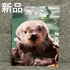 Item thumbnail for item cea36663-e6d5-432d-9e13-0f8c709c9043