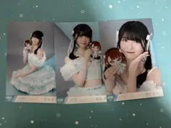 菅波美玲 生写真 コンプ