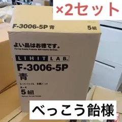 べっこう飴様専用　5組分×2セット　ルーパーファイル A4