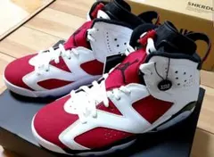 ★AIR JORDAN Ⅵ★ナイキ エアジョーダン6★未使用 新品27.0cm★