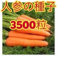 Nao様 リクエスト 5点 まとめ商品