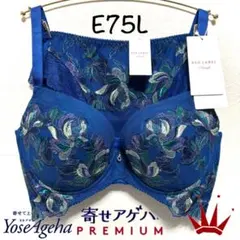 ＊E75L トリンプ プレミアム 寄せアゲハ 花と油絵 ブラ＆ショーツ M008