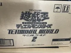 2026年最新】ターミナルワールド2 未開封の人気アイテム - メルカリ