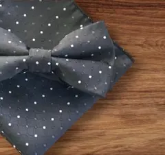 蝶ネクタイ チーフ セット　メンズ　新郎 結婚式　披露宴　二次会　ドット