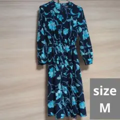 Item thumbnail for item 8d095f96-3ed3-4553-aa37-09f89ef98713