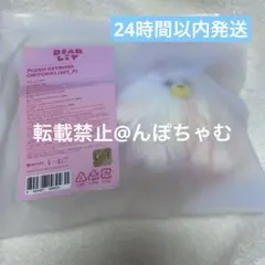 illit 2周年記念　キーリング　ミンジュ ILLIT 2周年 MD DEARLiT キーリング ミンジュ MINJU - メルカリ