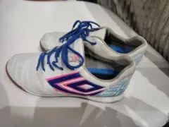 Item thumbnail for item 02f1ae75-4af3-4afd-84ea-6865158c7e08