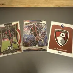 Item thumbnail for item 0aecd9dd-cfb4-4f0c-8e4c-5372638fb895