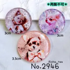 ⭐️ワンコイン⭐️ レジン ヘアゴム 3点♡ チワワ 犬 ♡ No. 2945