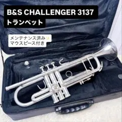 Item thumbnail for item c4470912-94ae-467c-8146-c0f5a584e582