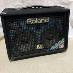 2025年最新】ROLAND KC-110の人気アイテム - メルカリ